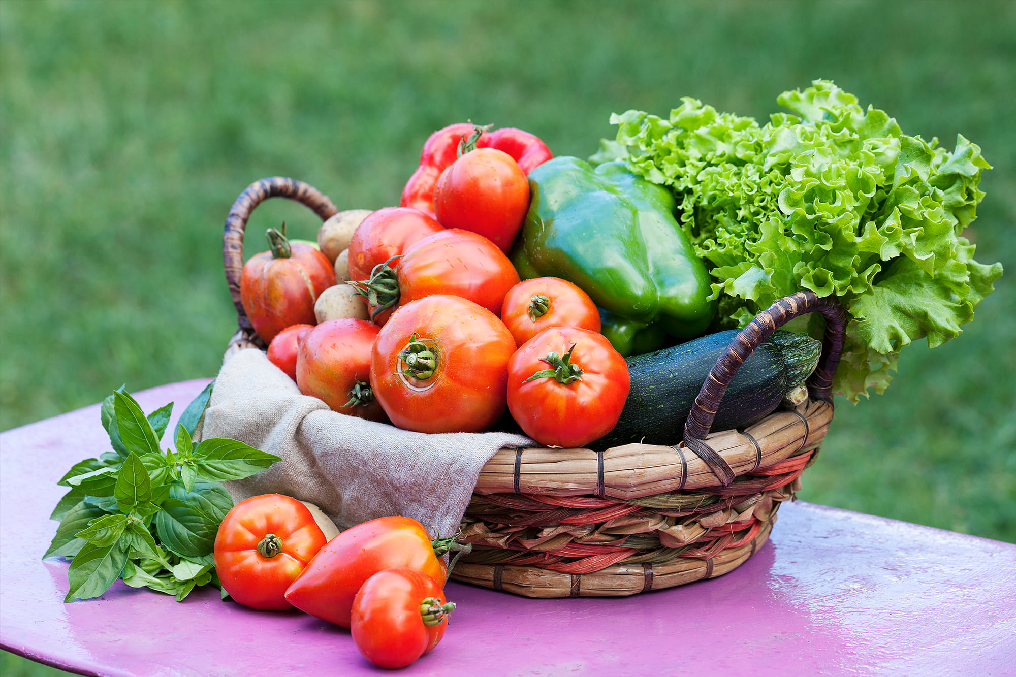 Farm-to-Table: A Culinary Adventure